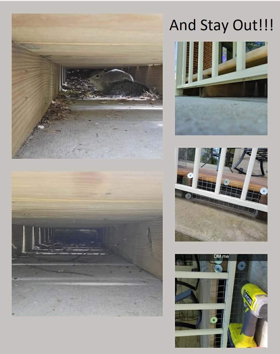 Squirrel Removal and Crawl Space Enclosed